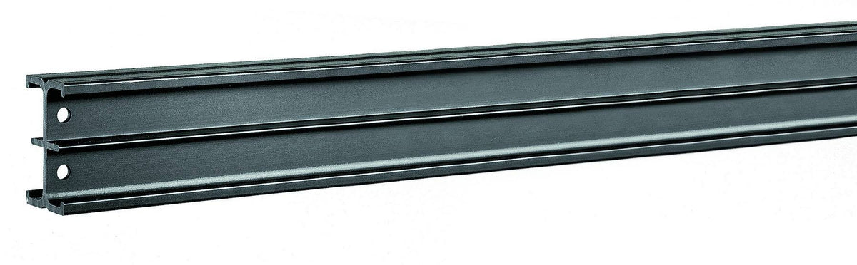 Black Rail D20459