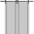 Double Barn Door 36 x 80 inches with Frosted Glass A61685