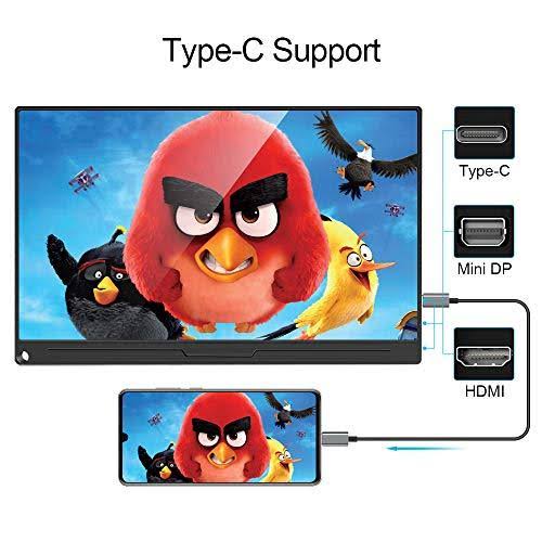 17.3 inch IPS HDR USB C Gaming Monitor I188