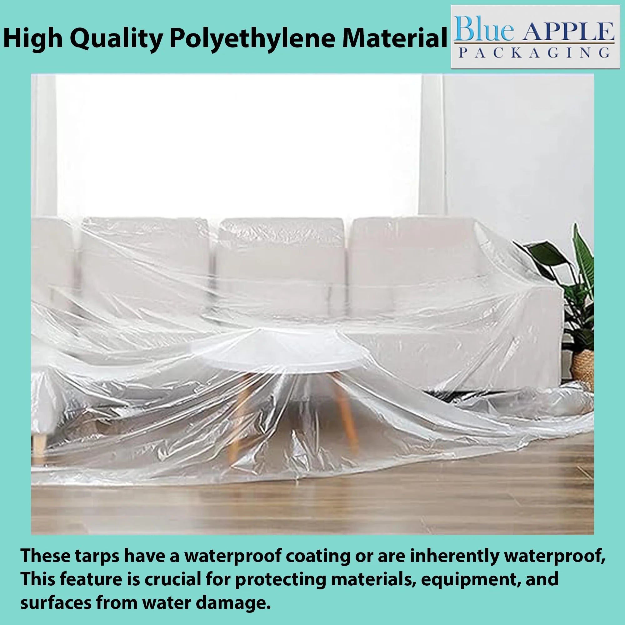 2Mil Clear LDPE Plastic Sheeting Tarp (12ft x 200ft) K66552