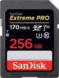 256GB SDXC UHS-I SD Card F485475