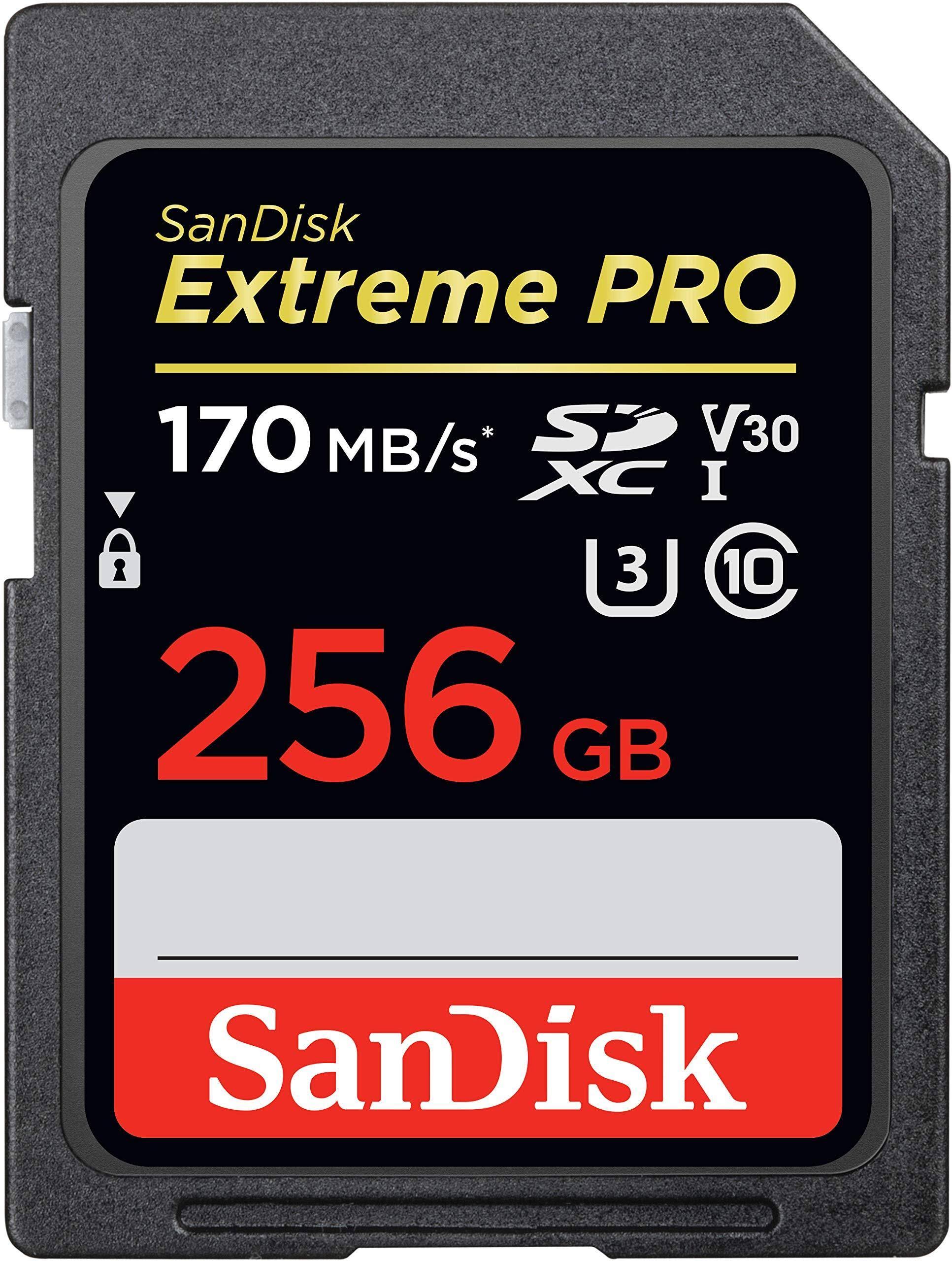 256GB SDXC UHS-I SD Card F485475