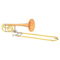 Tenor Trombone Outfit With F Attachment And Dual Bore Slide W378