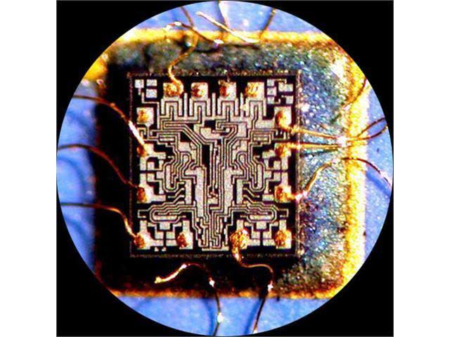 Binocular Stereo Zoom Microscope WH10x Eyepieces 3.5x 90X Magnification D204