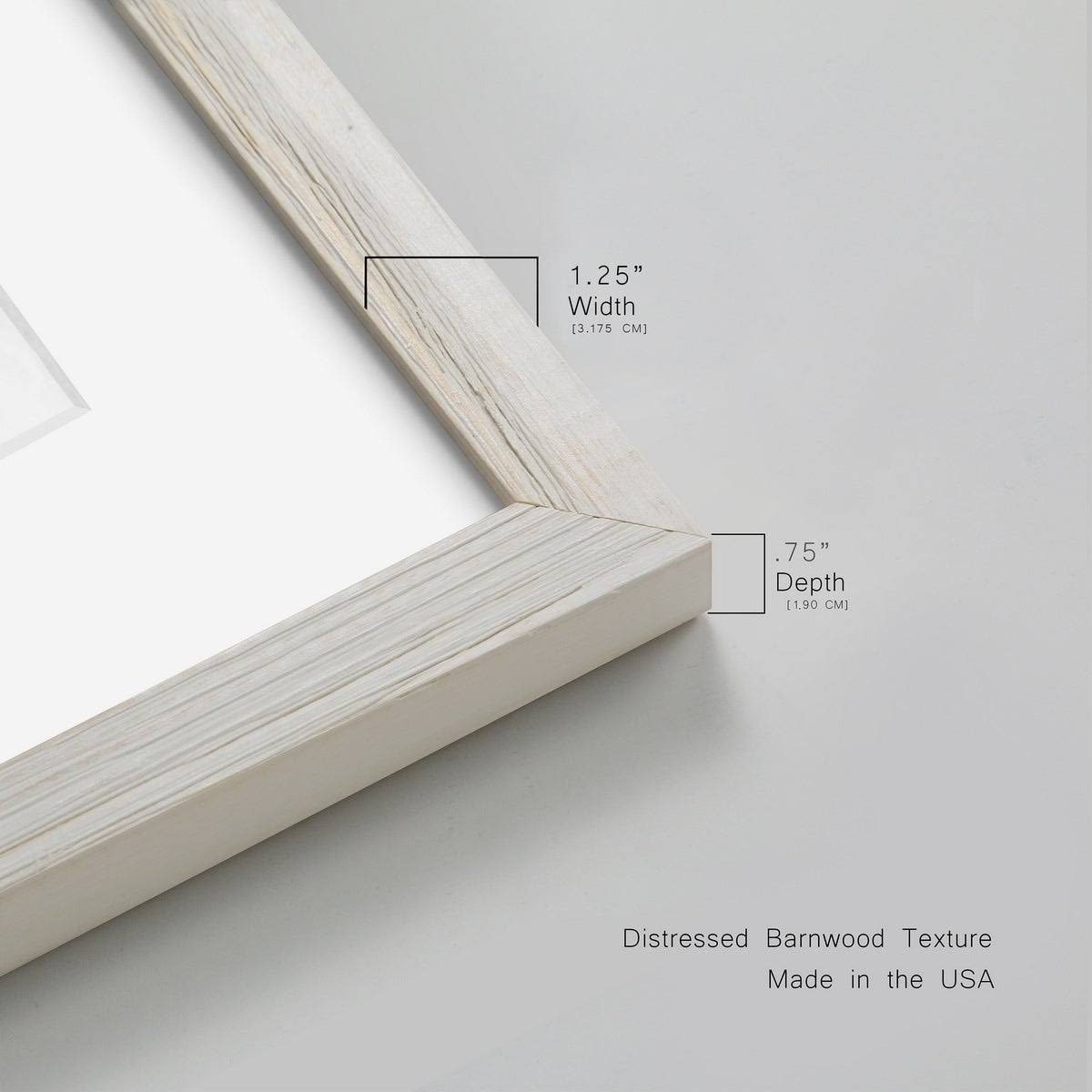 Framed Canvas 31X44 Maple T118169