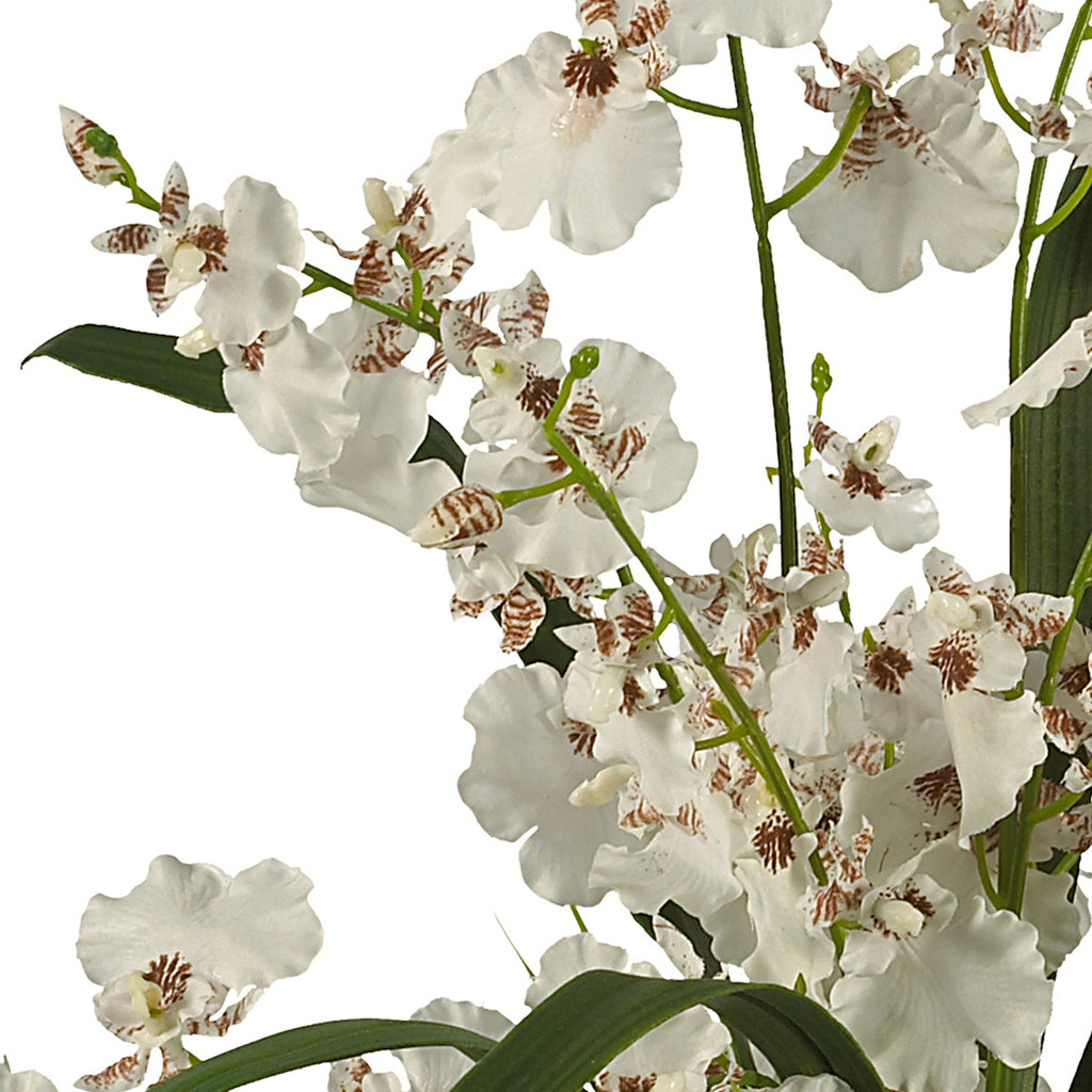 Silk Flower Dancing Lady Orchid J46853