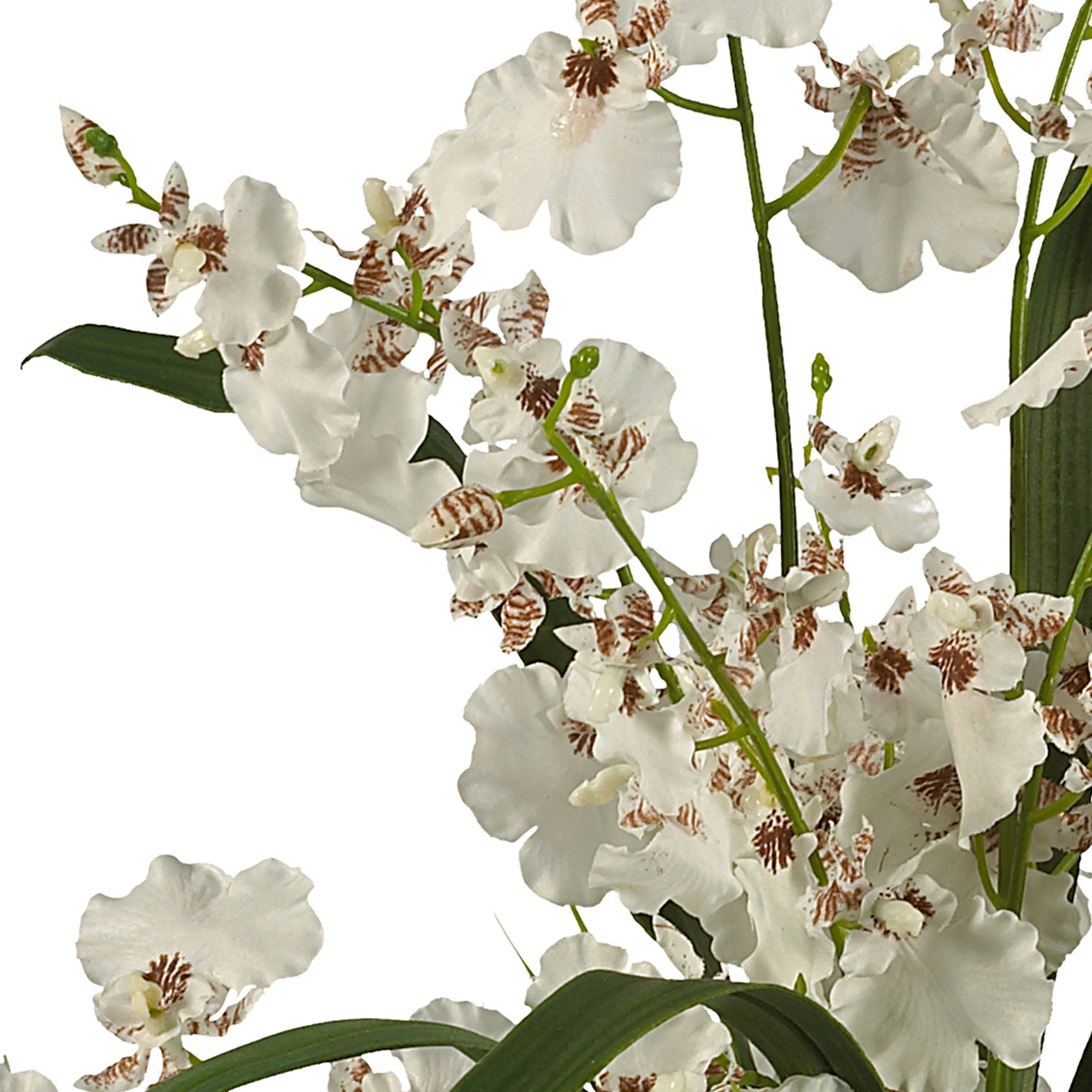 Silk Flower Dancing Lady Orchid J46853