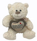 Heart Pillow Teddy Bear H47904