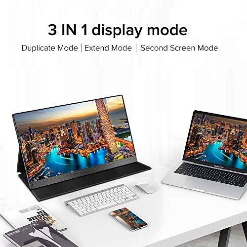 17.3 inch IPS HDR USB C Gaming Monitor I188