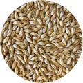 50 lb Sack Munich-style Malt X8061
