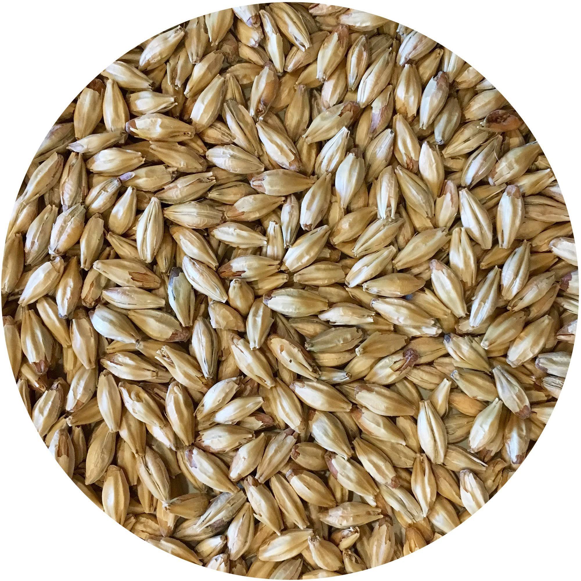 50 lb Sack Munich-style Malt X8061