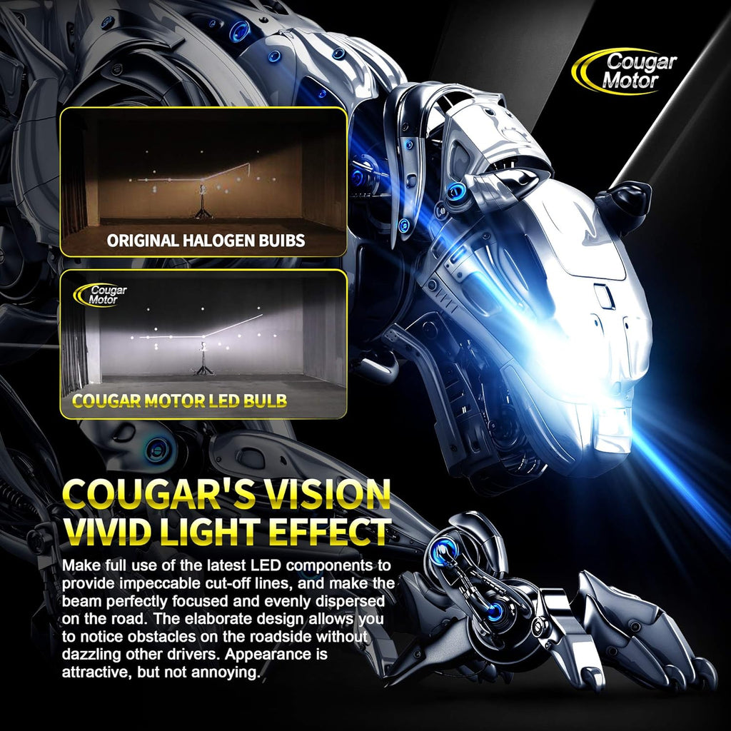 H4 LED Bulb 6500K Cool White Conversion Kit Q92362