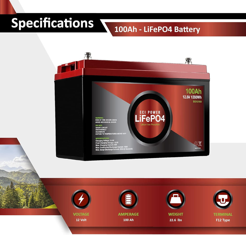2 Pack 12V 100Ah Lithium LiFePO4 Deep Cycle Rechargeable Battery with Built-in BMS Z18709