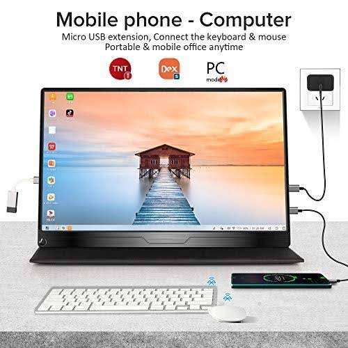 17.3 inch IPS HDR USB C Gaming Monitor I188