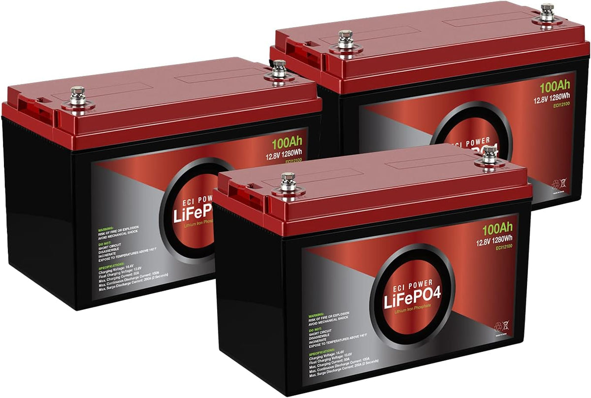 2 Pack 12V 100Ah Lithium LiFePO4 Deep Cycle Rechargeable Battery with Built-in BMS Z18709