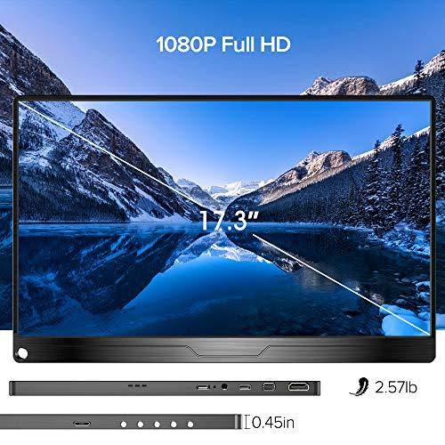 17.3 inch IPS HDR USB C Gaming Monitor I188