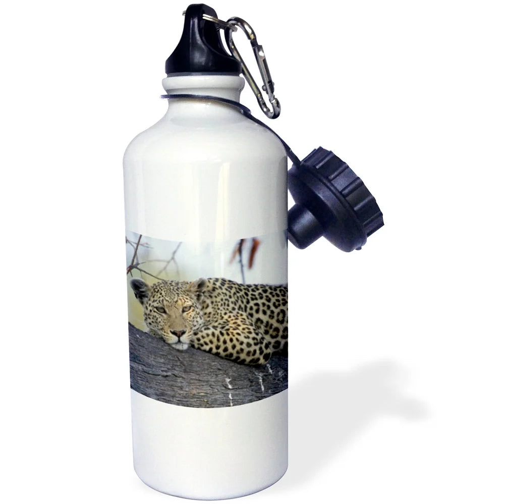 Water Bottle U63133