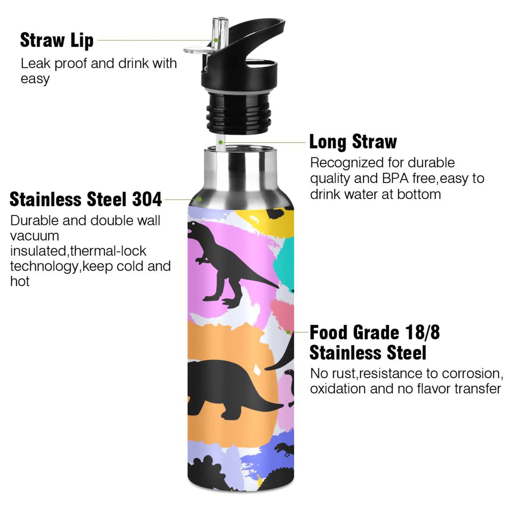 Black Dinosaurs Rainbow Stainless Steel Insulated Water Bottle with Straw Lid Y6715
