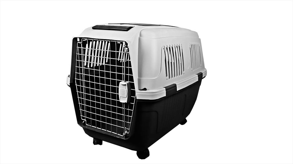 Cage Pet Carrier C97308